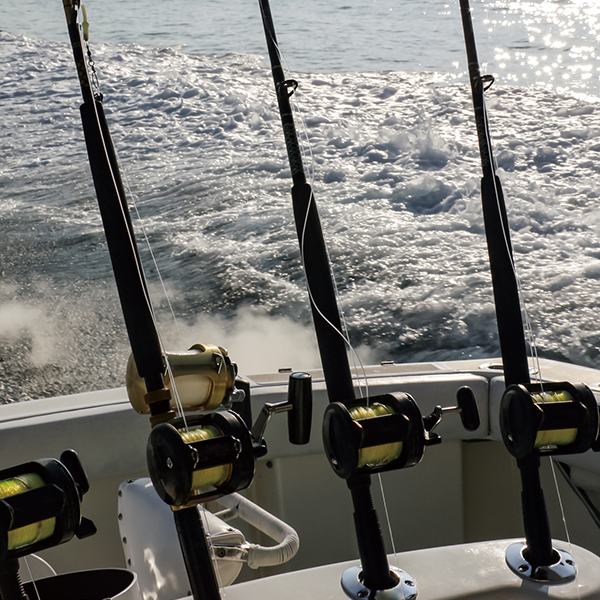釣り 釣り